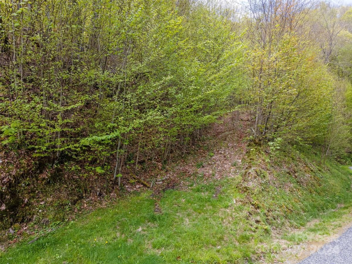 MLS #CAR4126844 image #15