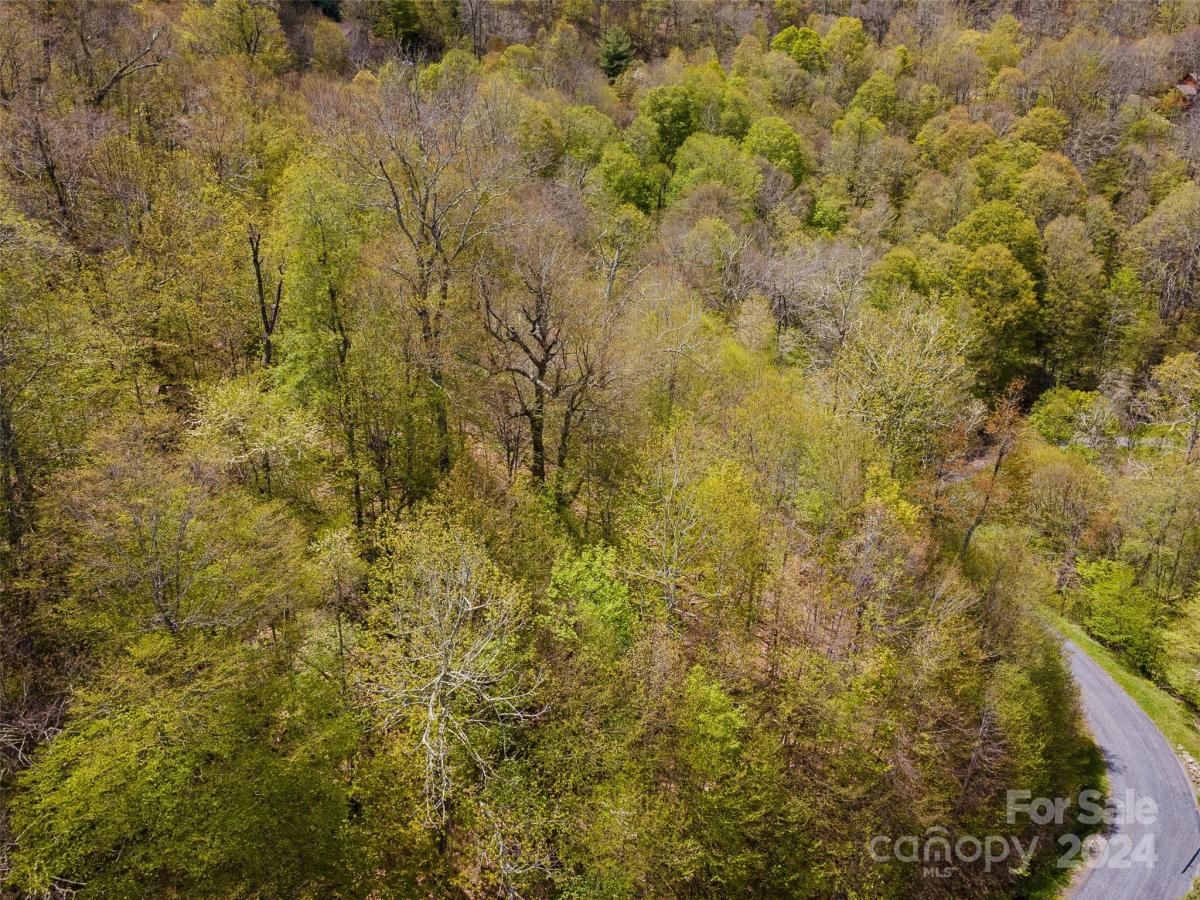 MLS #CAR4126844 image #19