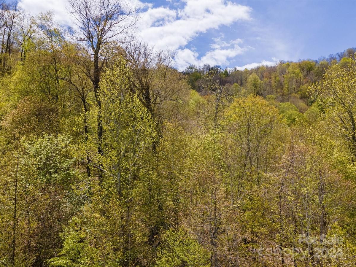 MLS #CAR4126844 image #20