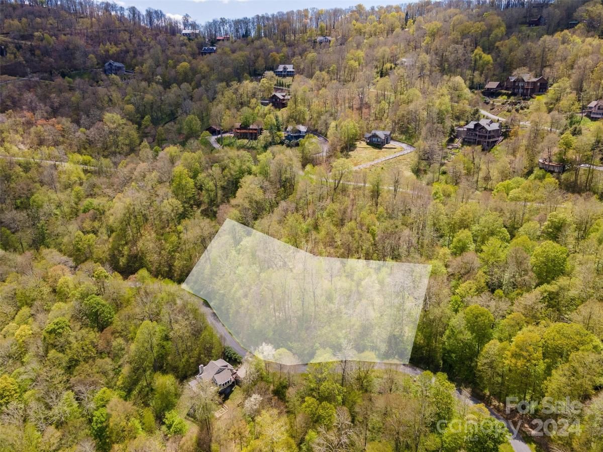 MLS #CAR4126844 image #4