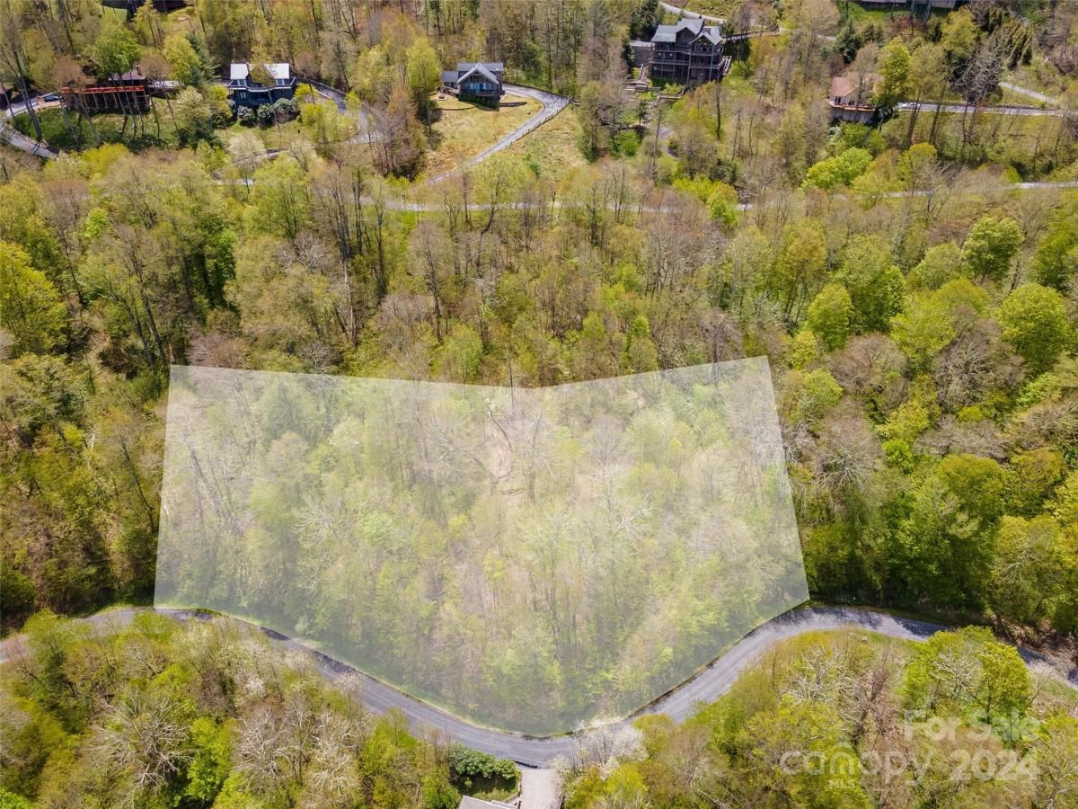 MLS #CAR4126844 image #5