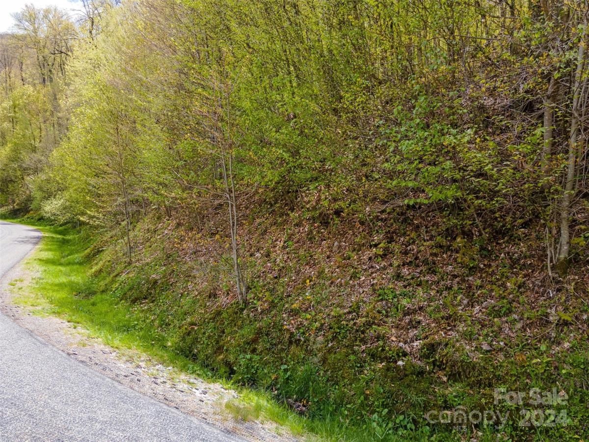 MLS #CAR4126844 image #6