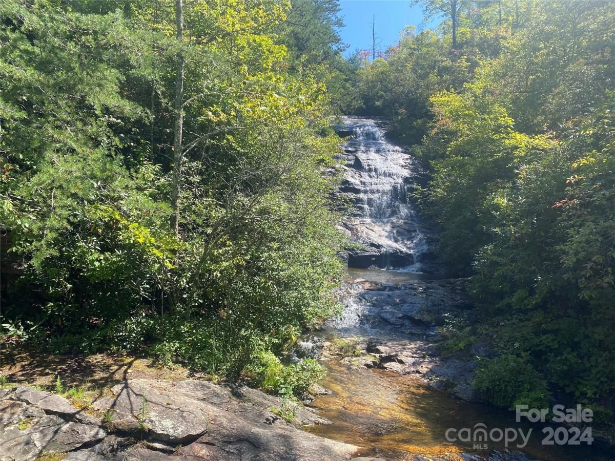 MLS #CAR4126909 image #2