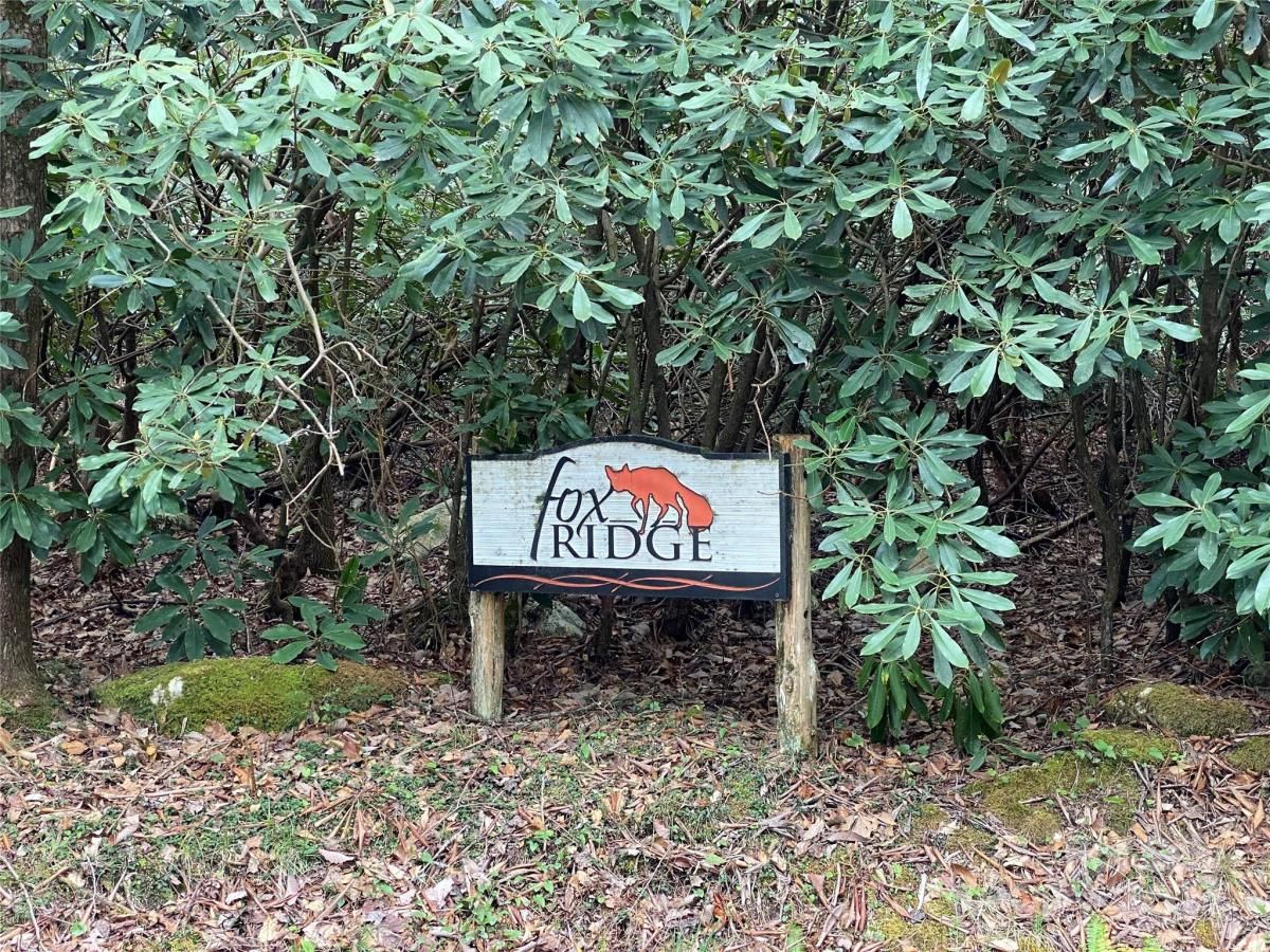 MLS #CAR4126909 image #3