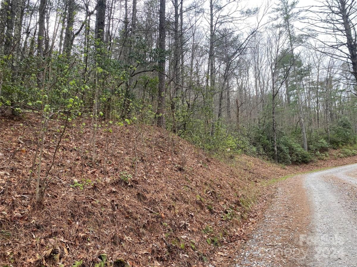 MLS #CAR4126909 image #4