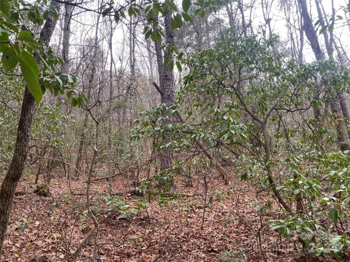 MLS #CAR4126909 image #7