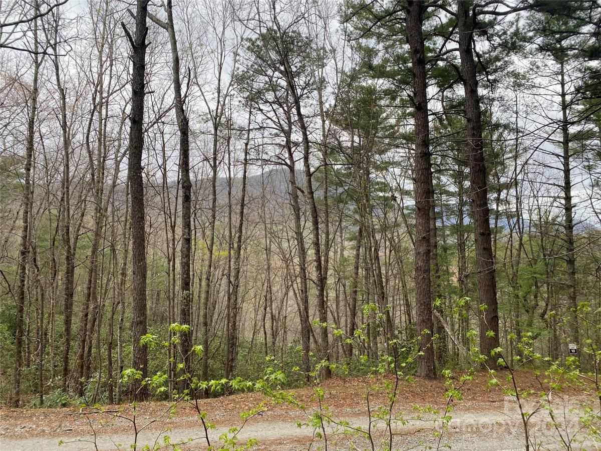 MLS #CAR4126909 image #9