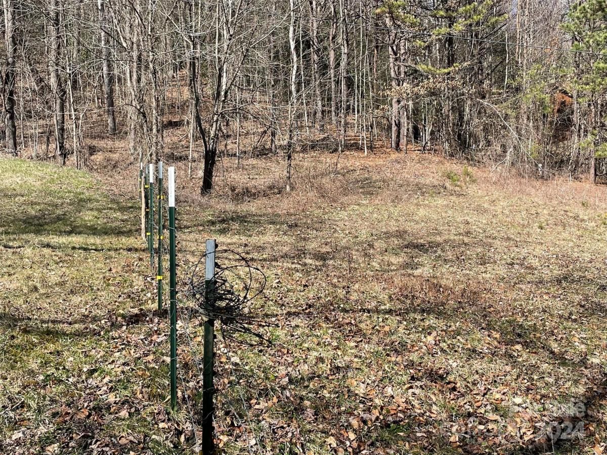 MLS #CAR4128094 image #10