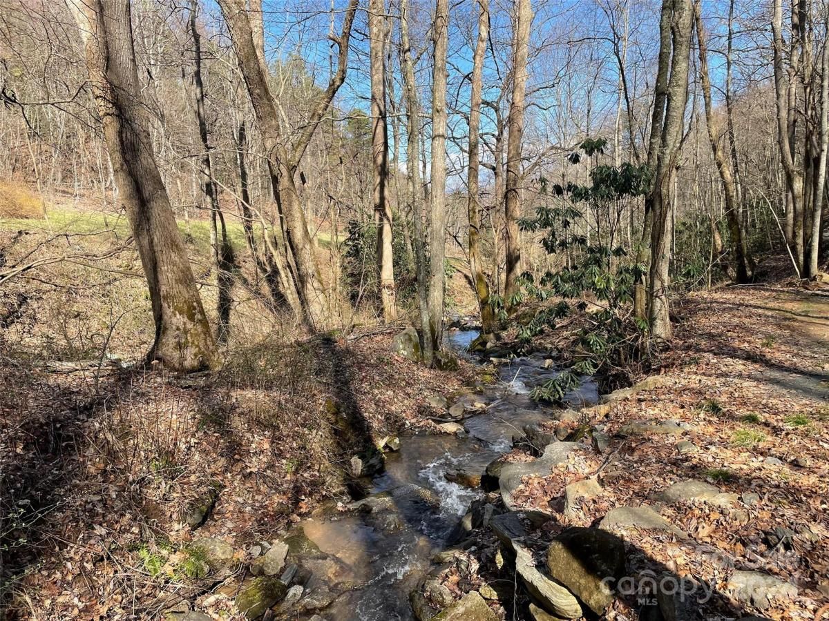 MLS #CAR4128094 image #11