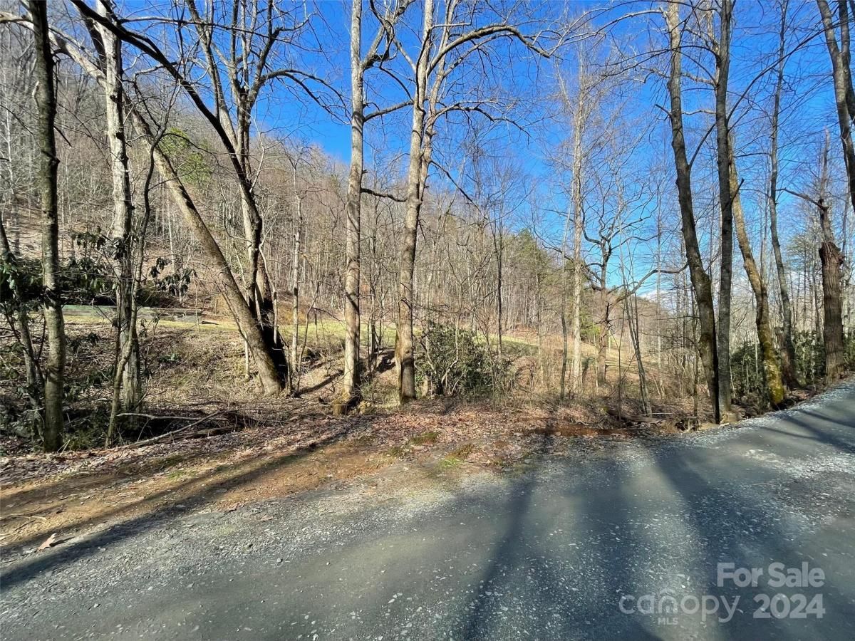 MLS #CAR4128094 image #12