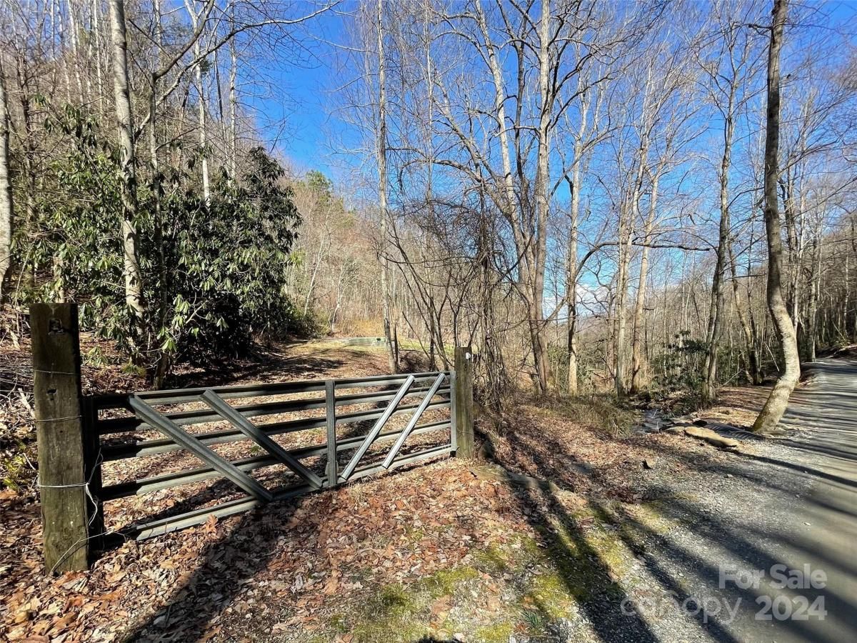 MLS #CAR4128094 image #2