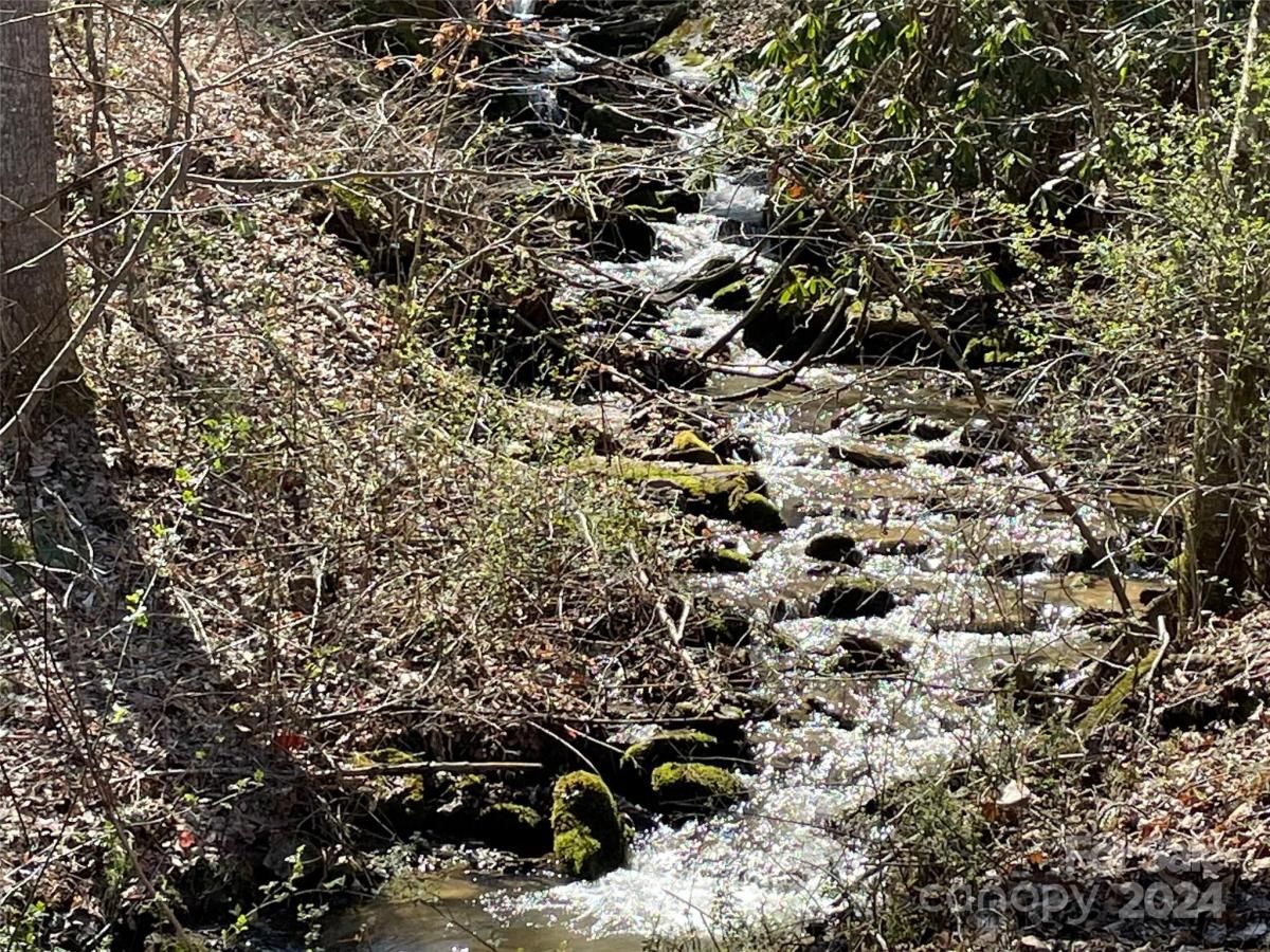 MLS #CAR4128094 image #3