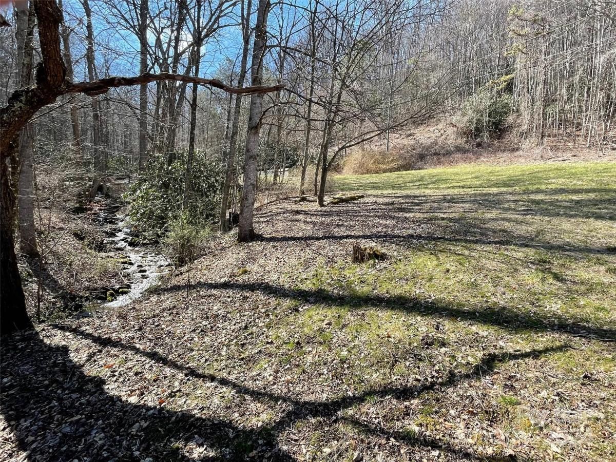 MLS #CAR4128094 image #4