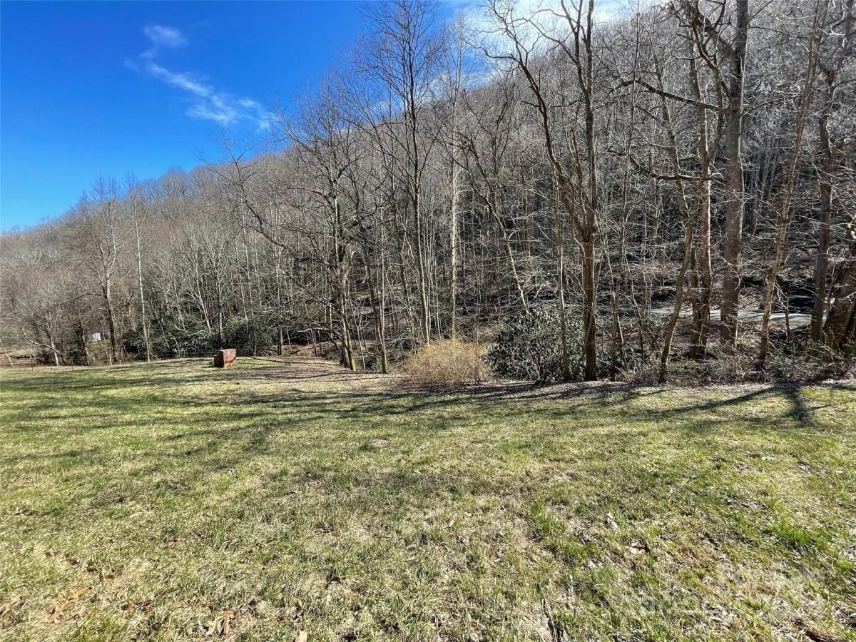 MLS #CAR4128094 image #5