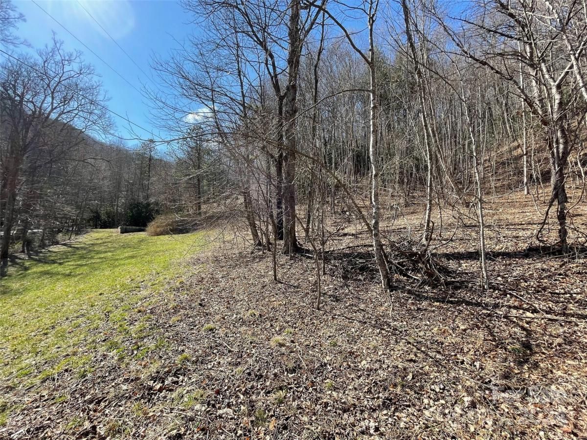 MLS #CAR4128094 image #8