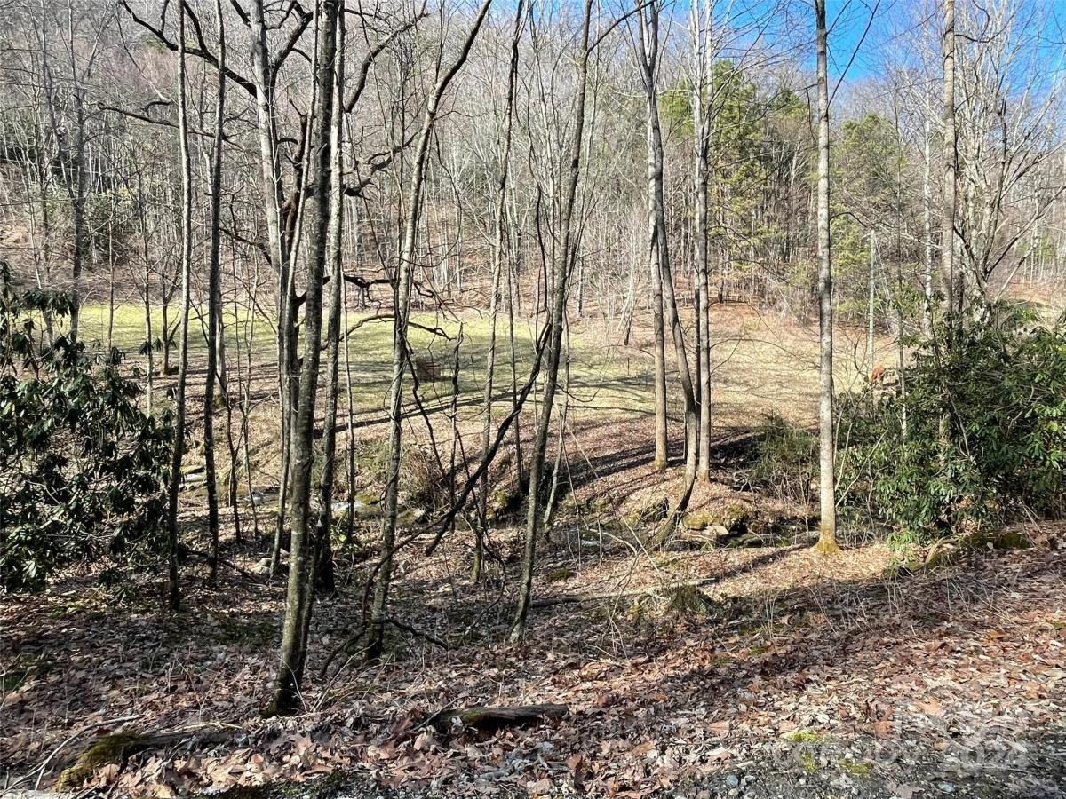 MLS #CAR4128094 image #9