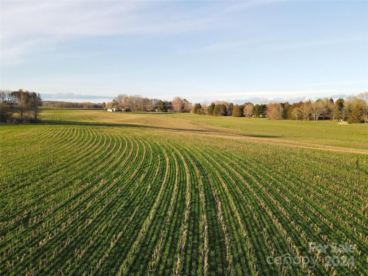 MLS #CAR4128148 image #21