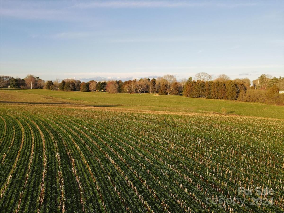 MLS #CAR4128148 image #23