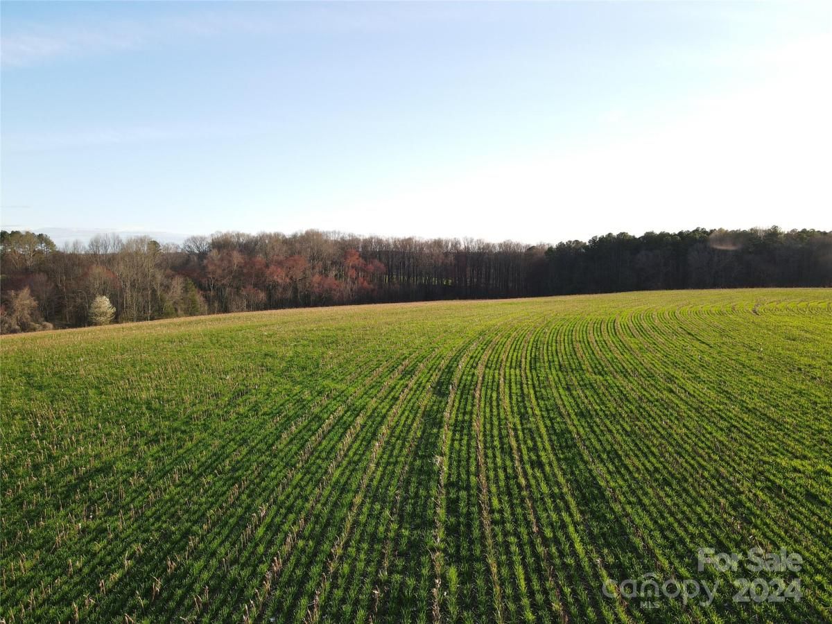 MLS #CAR4128148 image #24