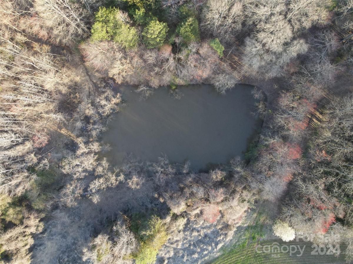 MLS #CAR4128148 image #28