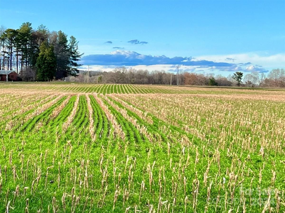 MLS #CAR4128148 image #31