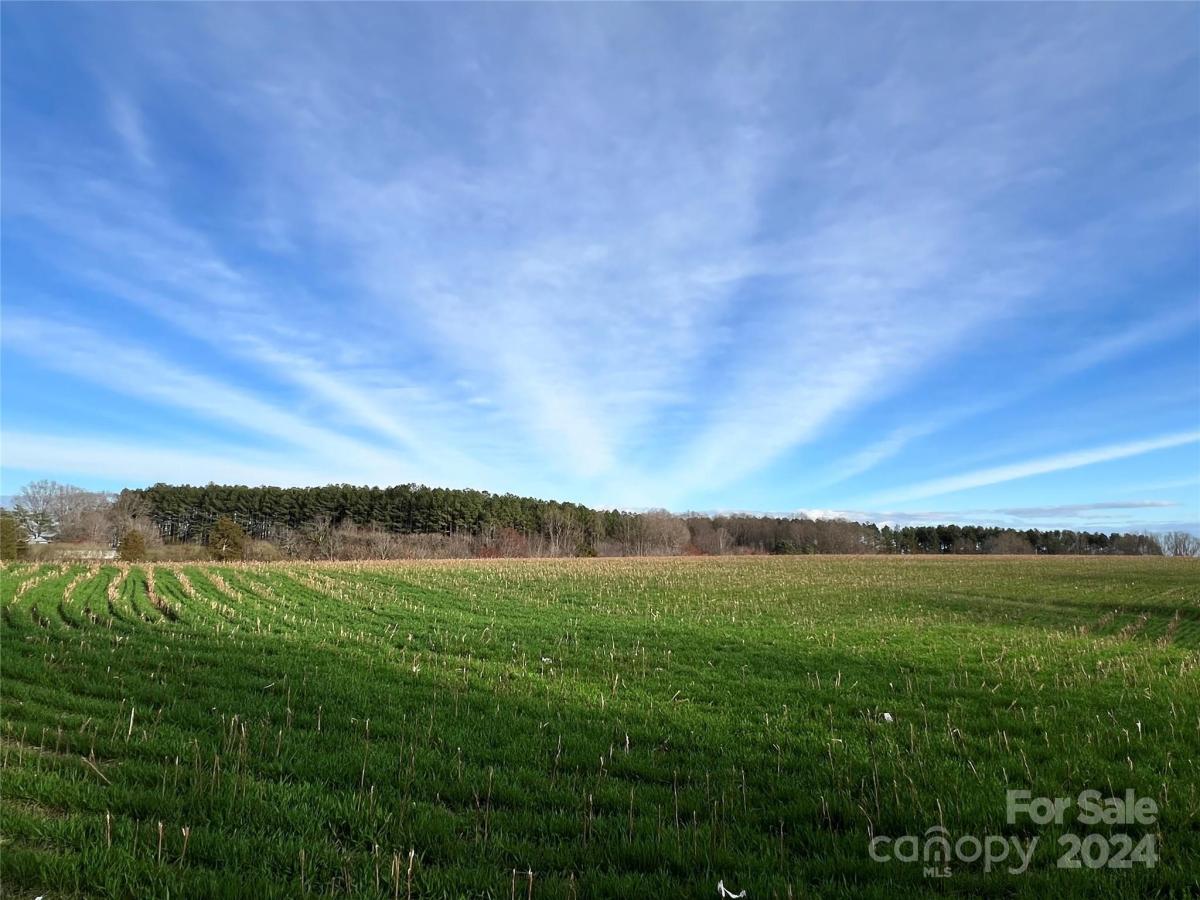 MLS #CAR4128148 image #32