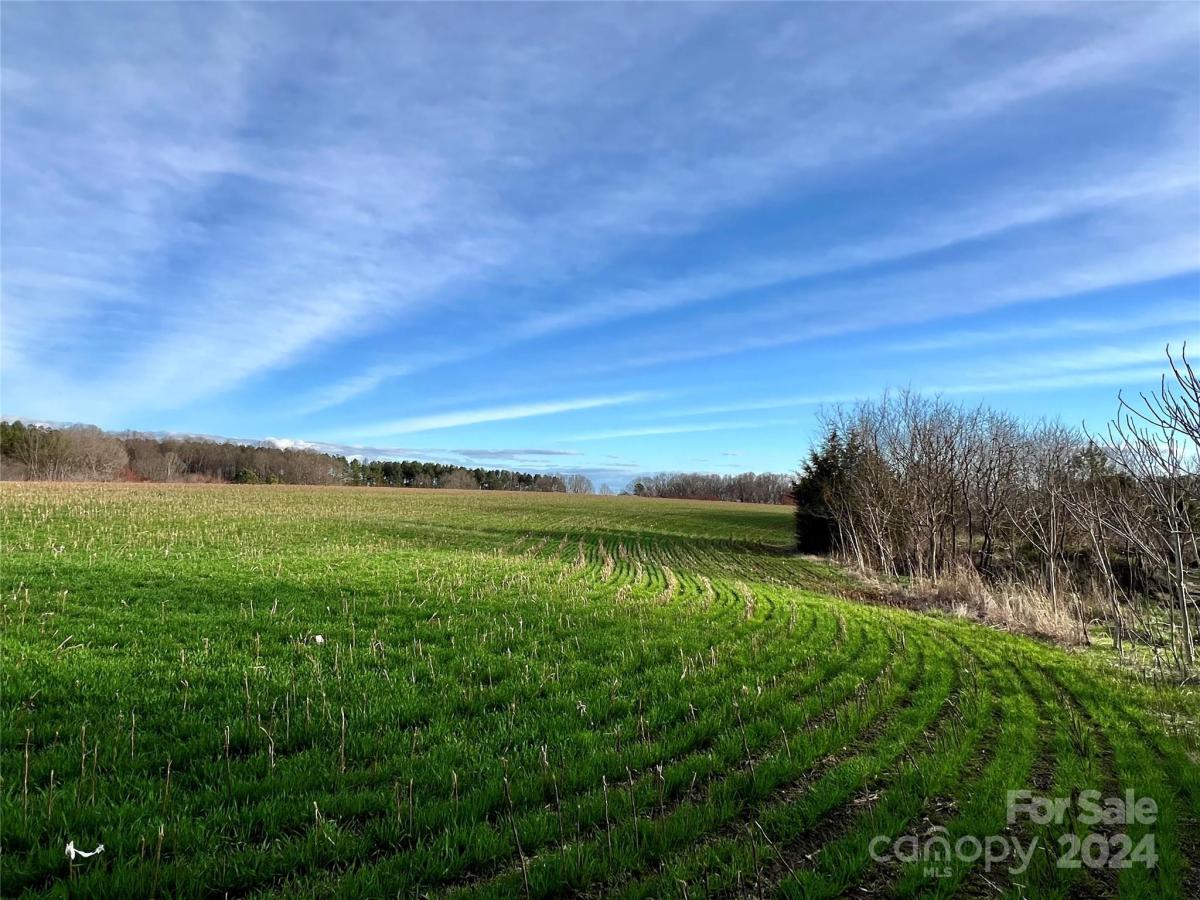 MLS #CAR4128148 image #33