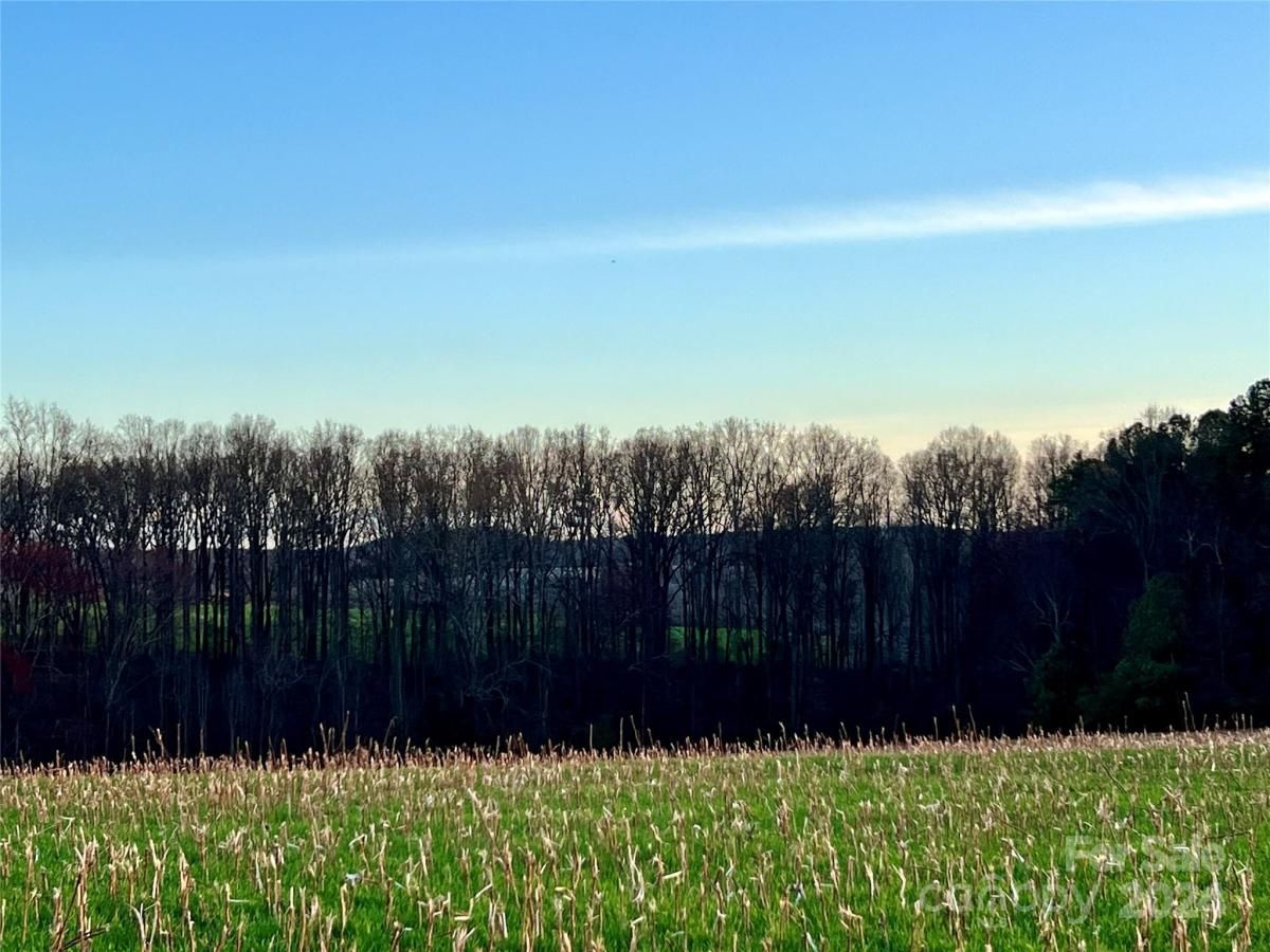 MLS #CAR4128148 image #34