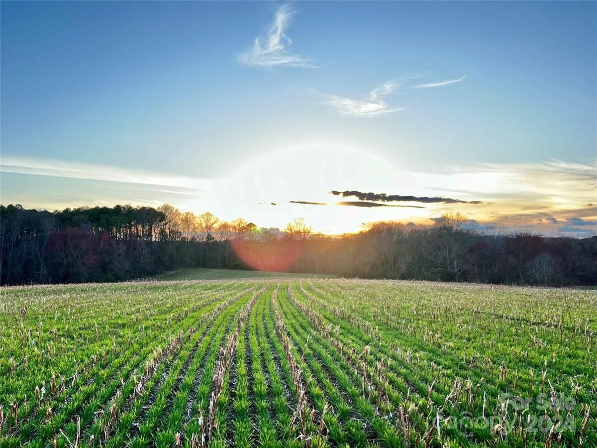 MLS #CAR4128148 image #35