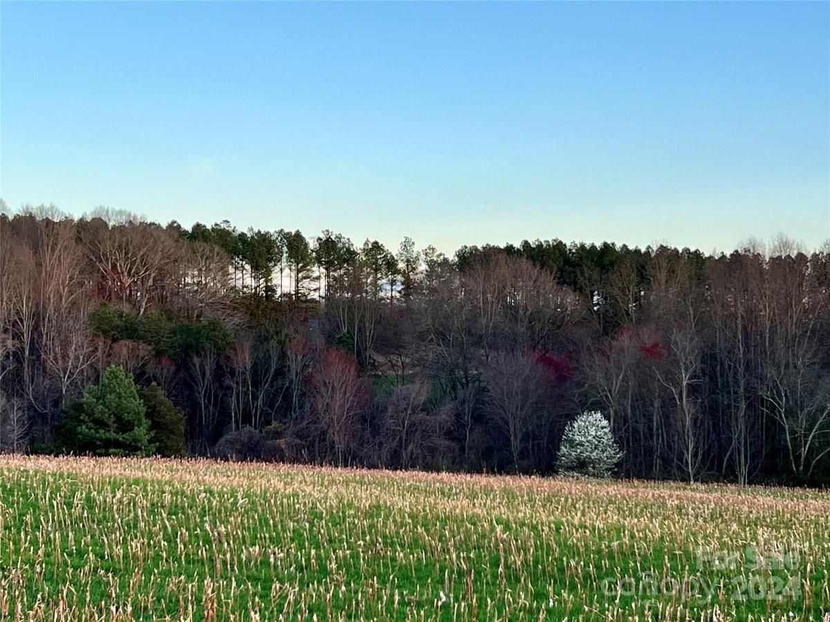 MLS #CAR4128148 image #36