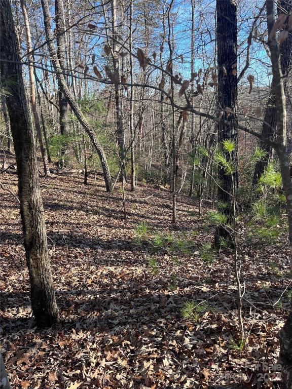 MLS #CAR4128178 image #1