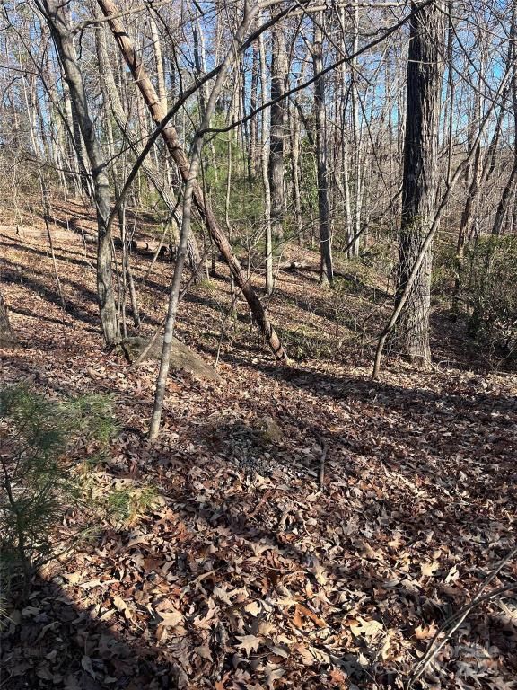 MLS #CAR4128178 image #10