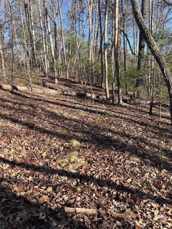 MLS #CAR4128178 image #2