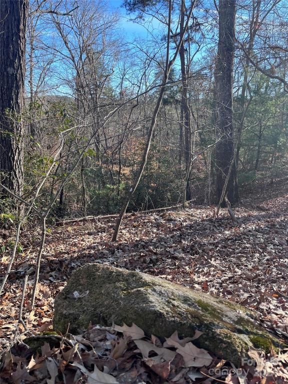 MLS #CAR4128178 image #3