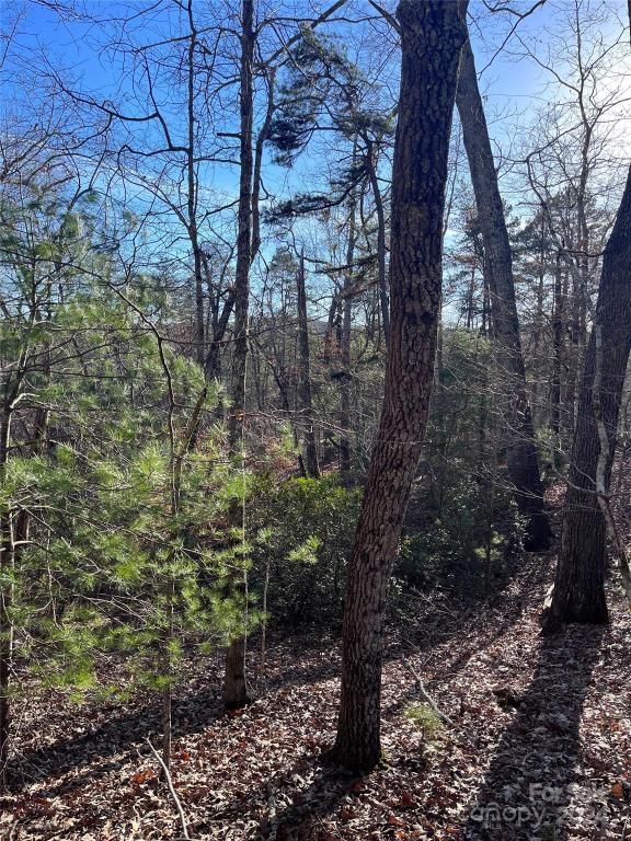 MLS #CAR4128178 image #4