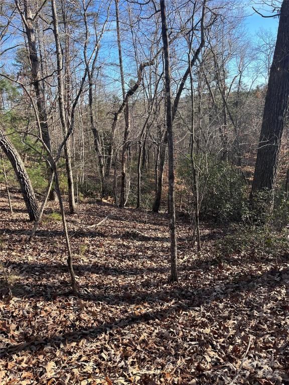 MLS #CAR4128178 image #5