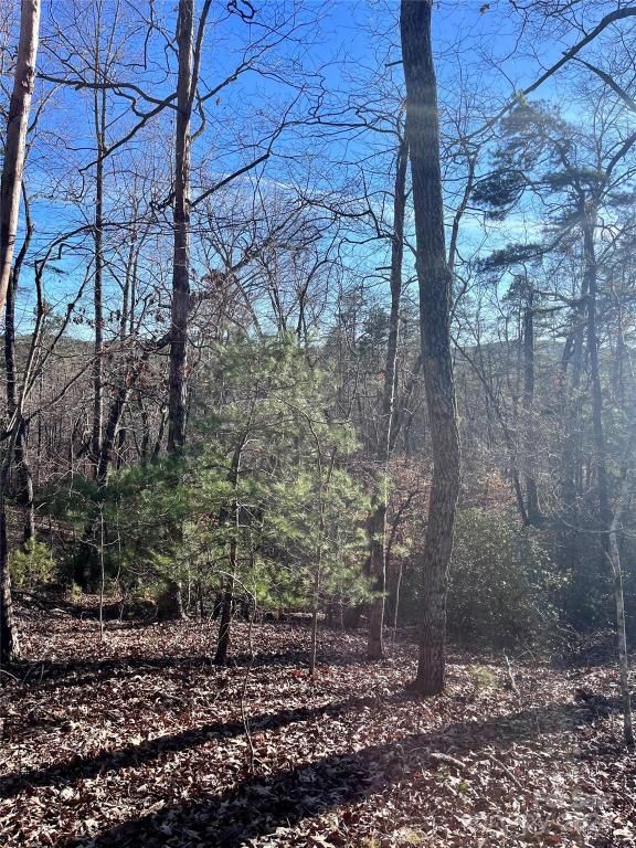 MLS #CAR4128178 image #6