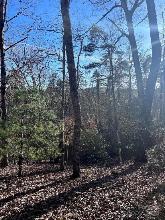 MLS #CAR4128178 image #7