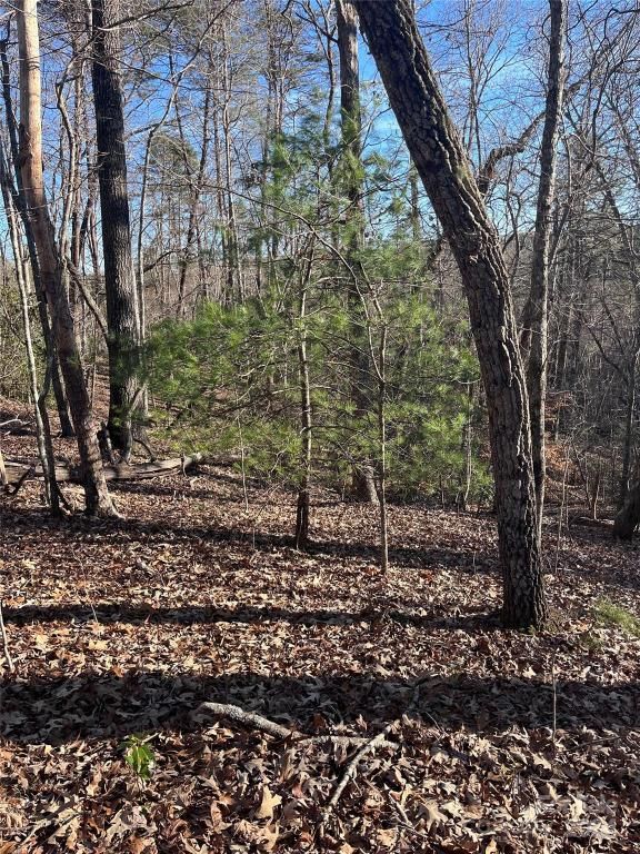 MLS #CAR4128178 image #8