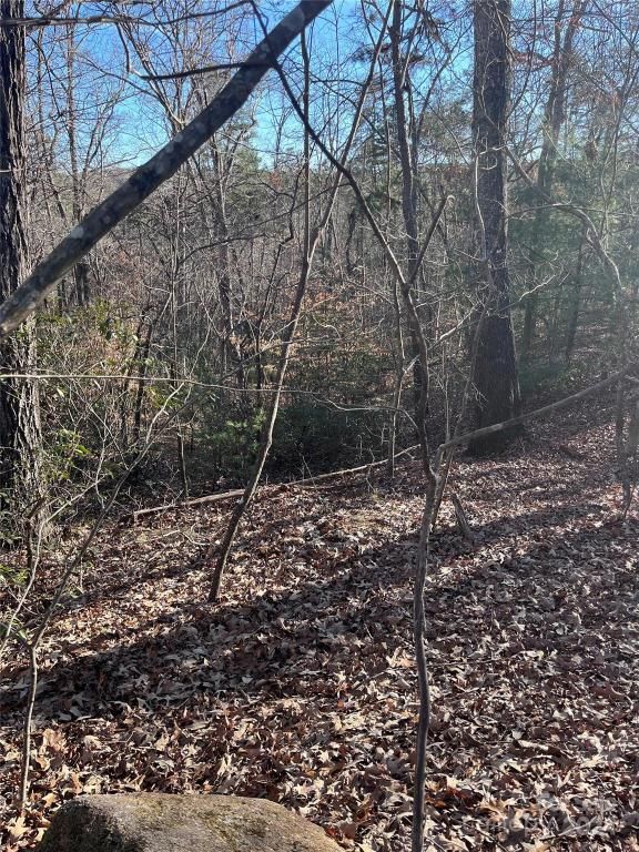 MLS #CAR4128178 image #9