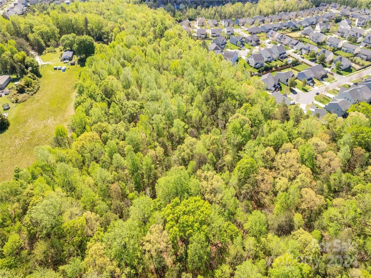 MLS #CAR4128736 image #9