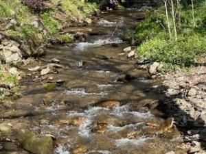 MLS #CAR4129347 image #1