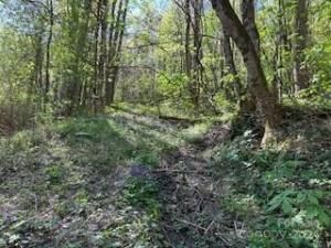 MLS #CAR4129347 image #6