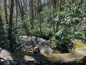 MLS #CAR4129347 image #7