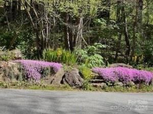 MLS #CAR4129347 image #8