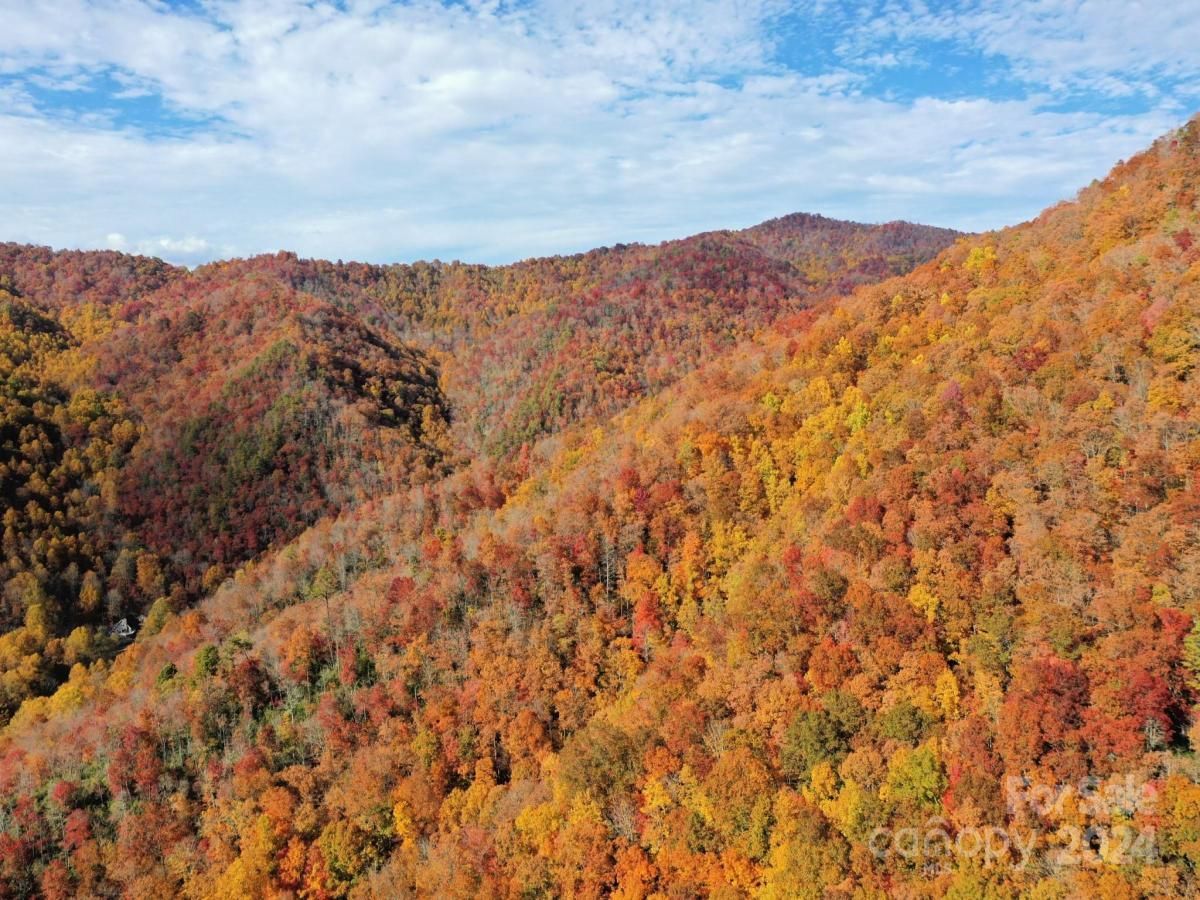 MLS #CAR4131163 image #0