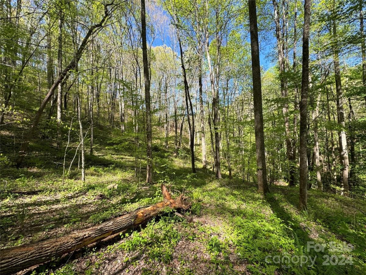 MLS #CAR4132198 image #0