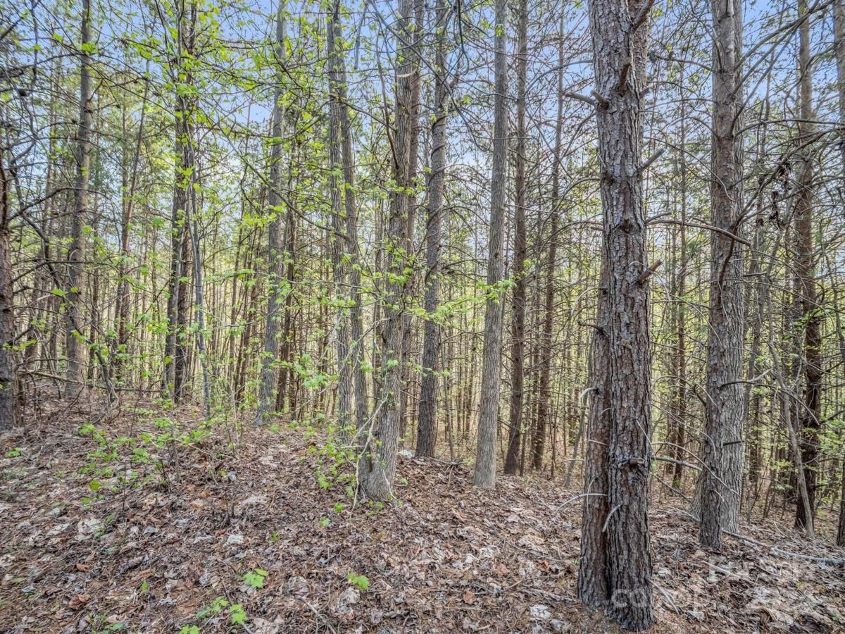 MLS #CAR4132536 image #10