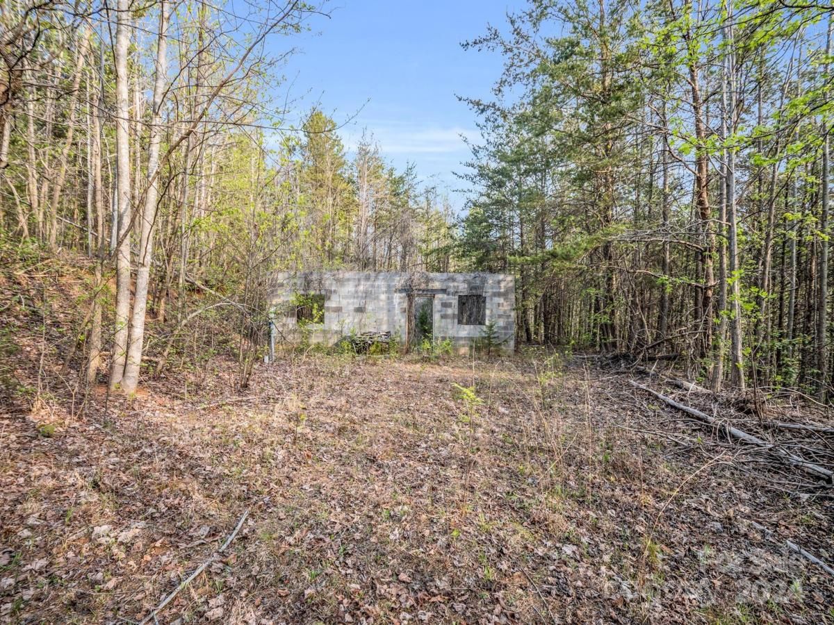 MLS #CAR4132536 image #11