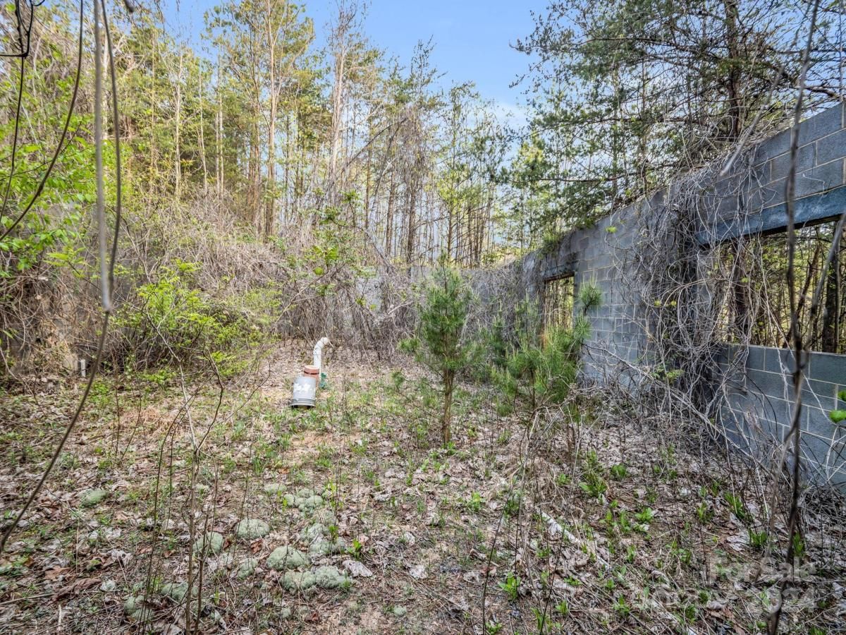 MLS #CAR4132536 image #13